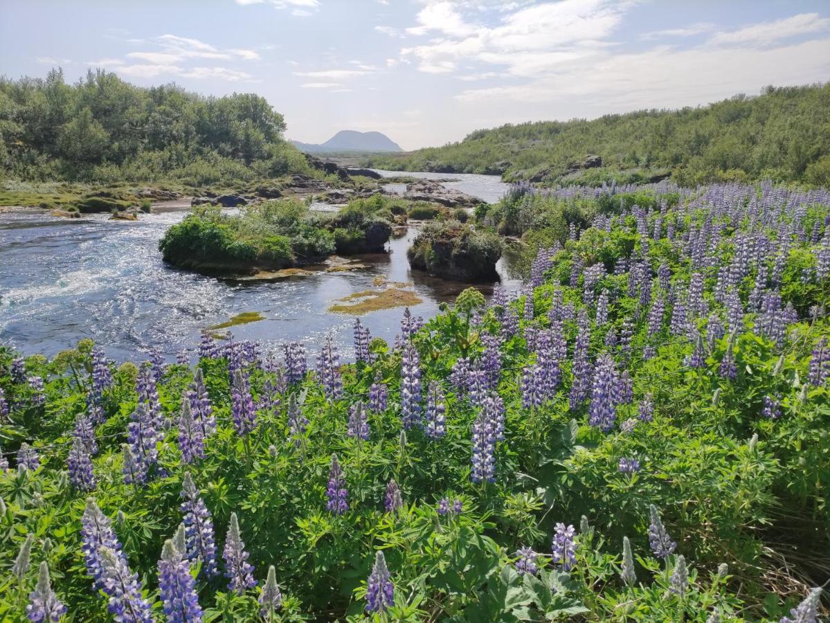 Rjupnavellir Villa Eksteriør billede